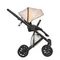 Коляска ANEX e/type 2 в 1 (et-SE04) joy