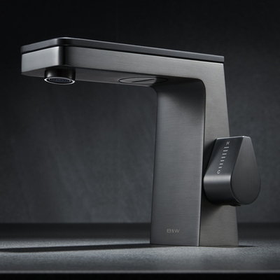 Смеситель для раковины Black&White Universe Gun Metal (U7750GM)