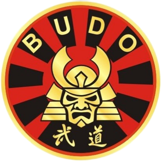 Ягю Синган Рю (абонемент)