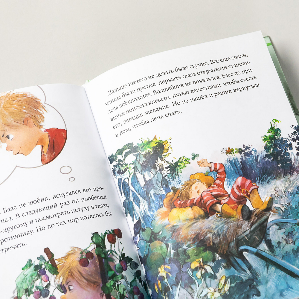 Однажды в Симплвельде. Волшебные камни Бааса