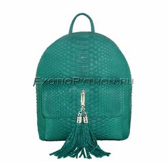 Рюкзак из кожи питона BG-221
