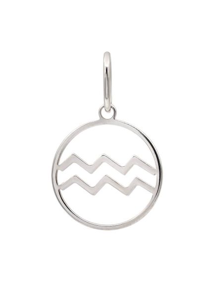 Подвеска Знак зодиака Водолей из серебра, вид сзади