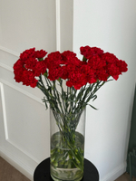 Гвоздика в красном оттенке