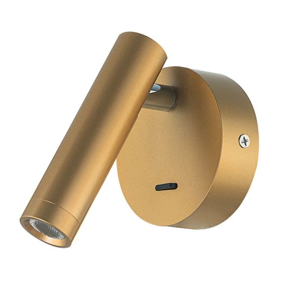 Спот Citilux Декарт CL704102