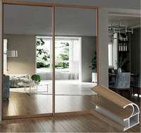 Дверь-купе NAIDY С, зеркало, профиль орех