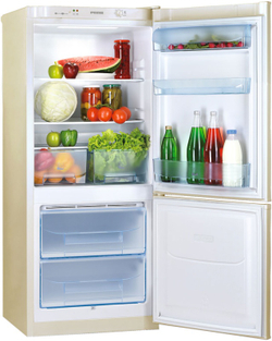 Холодильник Pozis RK-101 (546TV)