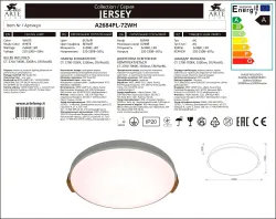 Потолочный светильник Arte Lamp