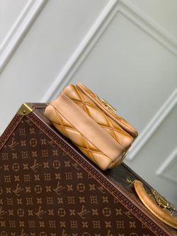 Louis Vuitton GO-14 PM