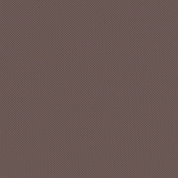 Велюр Blitz / Блитц