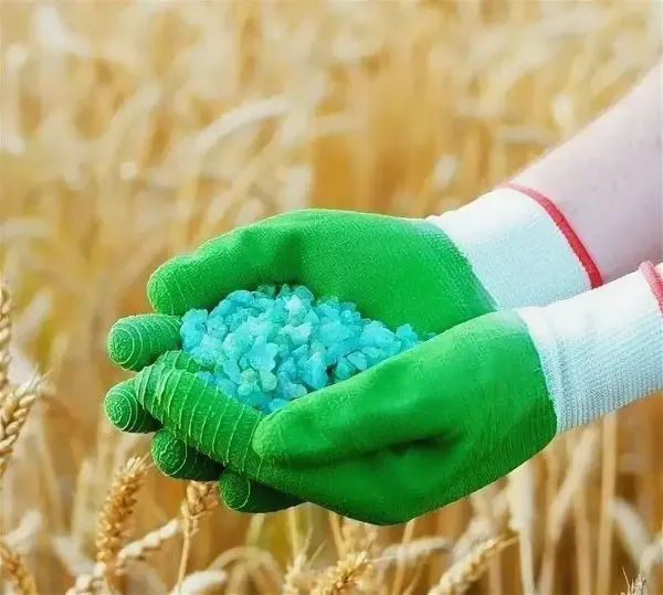 Закупаем удобрения зимой: умная экономия для будущего урожая