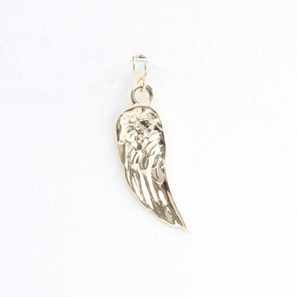 Wings charm