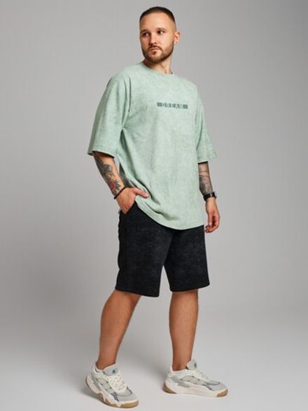 Фуфайка (футболка) мужская Сидней-4 Виотекс ФИСТАШКОВЫЙ