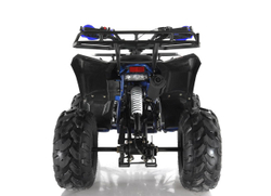 Квадроцикл WELS Thunder EVO