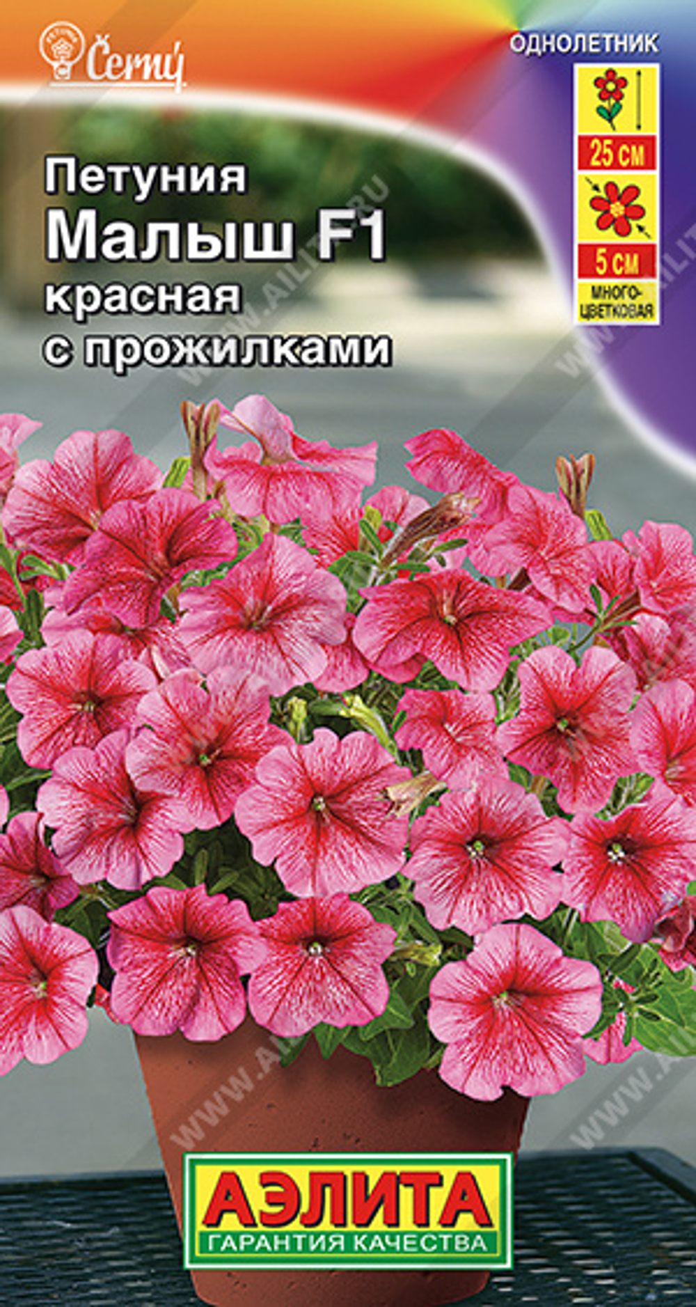 Петуния Малыш мини F1 красная с прожилками 7шт Аэлита