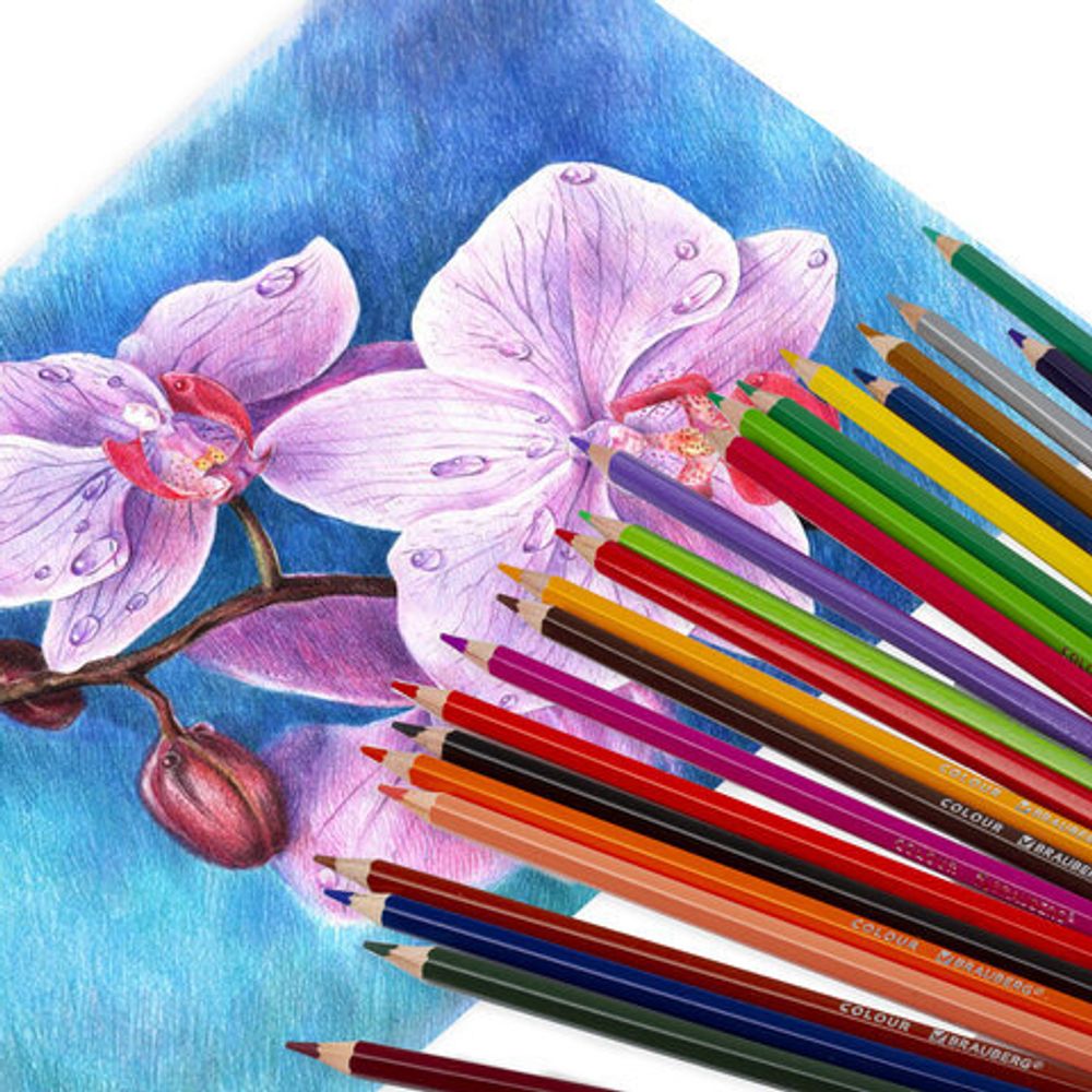 Карандаши цветные BRAUBERG PREMIUM, 18 цветов, шестигранные, грифель мягкий 3,3 мм, 181657