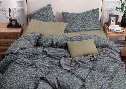 Комплект постельного белья Евро с простыней на рез.160х200 БЯЗЬ "Fan" (нав. 50х70 или 70х70)