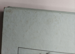 Подготы Тихого океана (у)