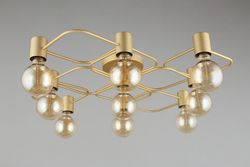 Потолочная люстра Aployt Elison APL.911.07.09