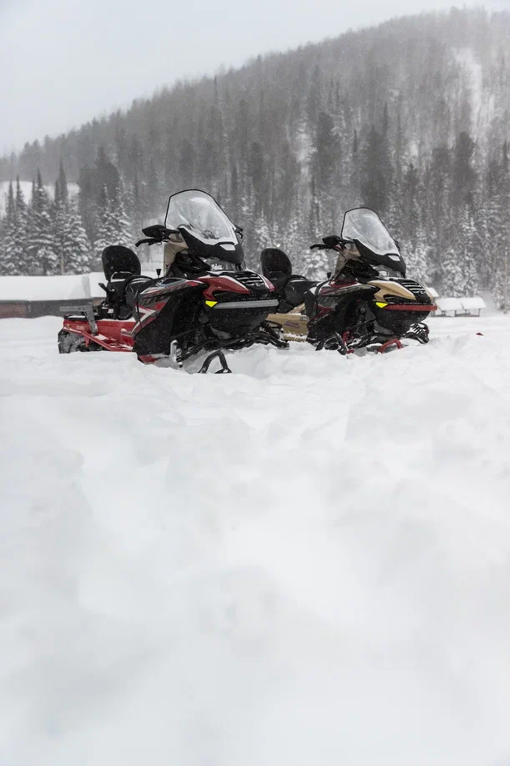 Снегоход AODES Siberiacross 1000 WT 508mm LCD 6.8