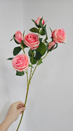 Роза кустовая / Арт 2274