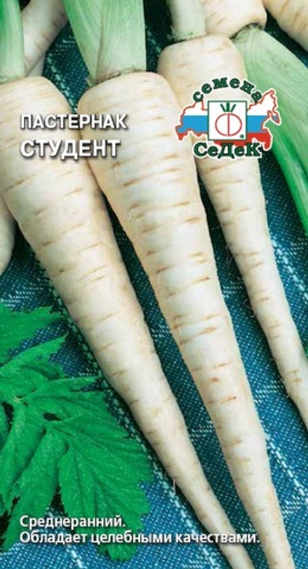 Пастернак Студент 1гр Седек