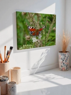 Картина на стену 40 X 50 Бабочка