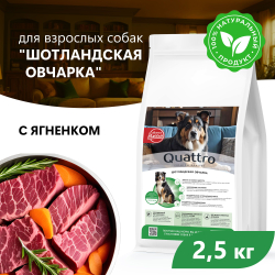 Корм сухой для взрослых собак породы Шотландская овчарка, с ягненком, 2.5 кг, QUATTRO
