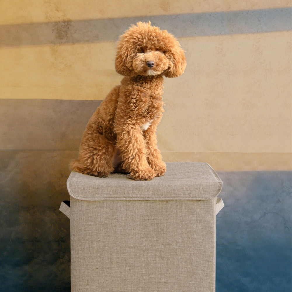 Корзина для белья с тремя съёмными мешками