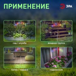 Светильник уличный ЭРА ERASF23-11 Огоньки на солнечной батарее садовый высота 70 см 6 LED | Садовые декоративные светильники