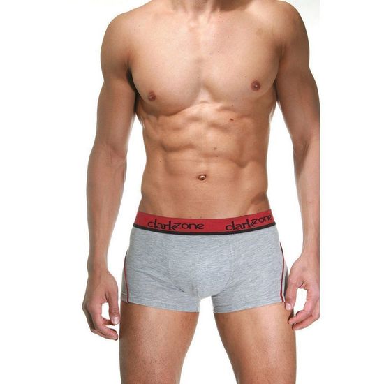Трусы мужские боксеры светло-серые DARKZONE DZN3103