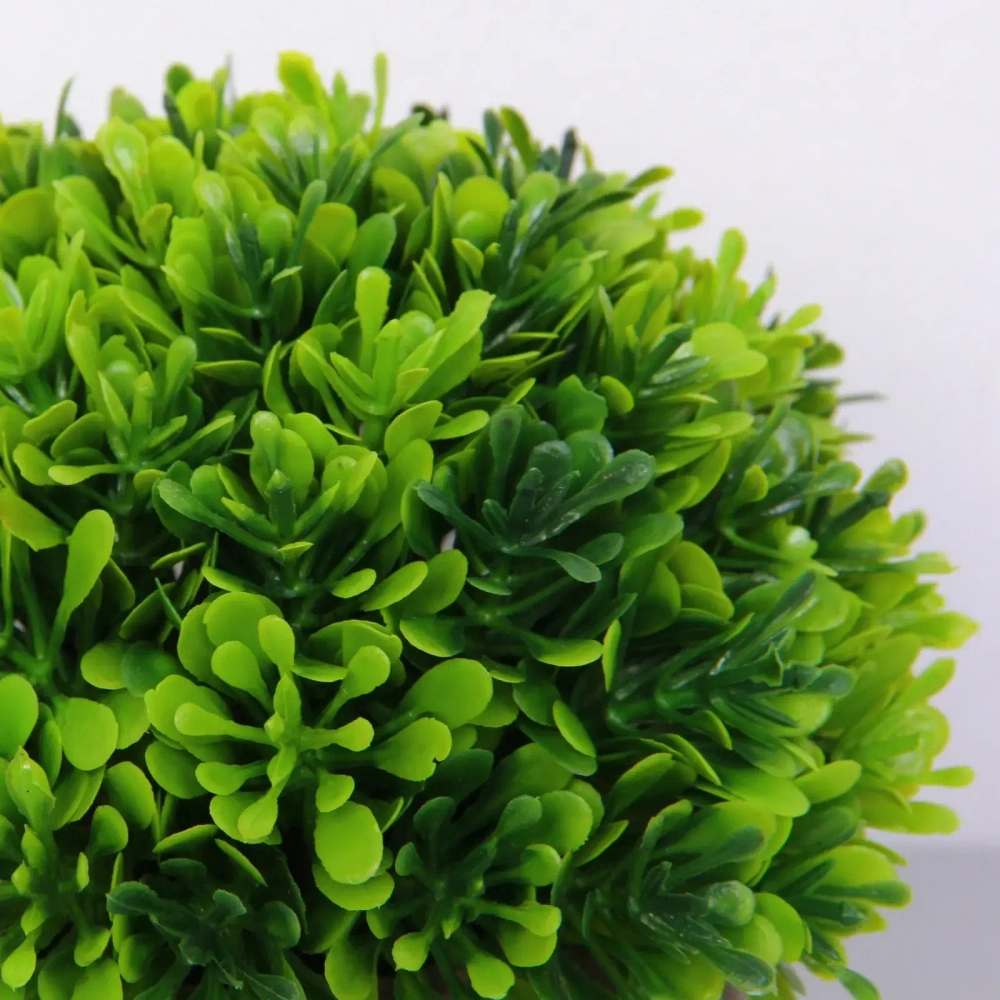 Цветочная композиция «Green garden» 10*12см в горшке, листики