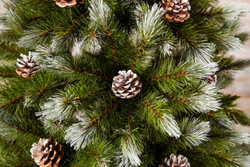 Ель Женева 230см с шишками заснеженная Triumph Tree