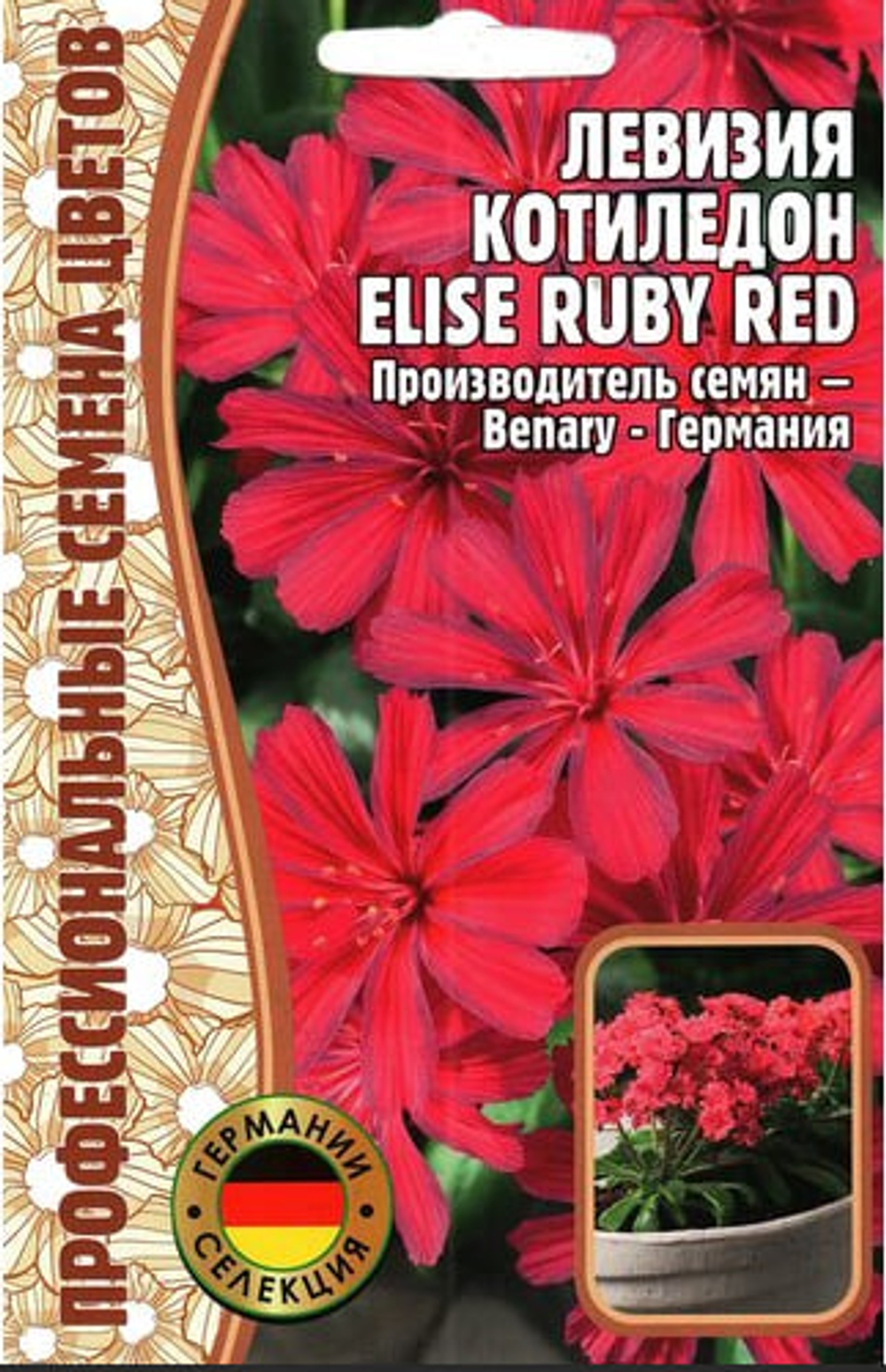Левизия Котиледон Elise Ruby Red  3шт ЧК