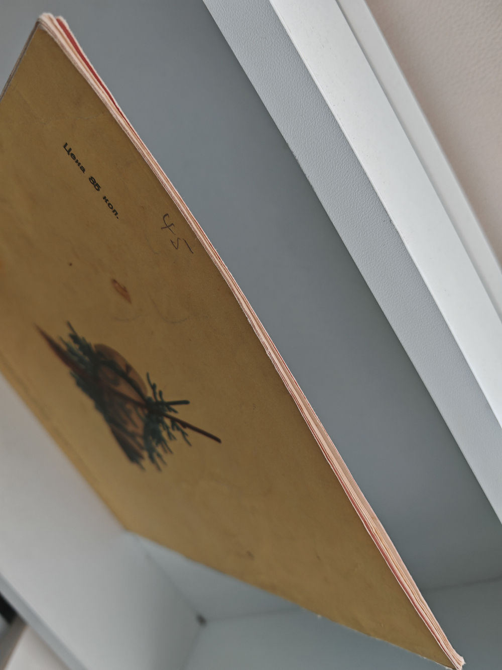 Гуси-лебеди