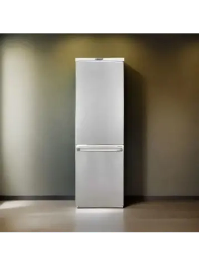 Холодильник R-291 NG