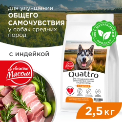Корм сухой для взрослых собак средних пород, премиум полнорационный комплекс, улучшение общего самочувствия, с индейкой, 2,5 кг, QUATTRO
