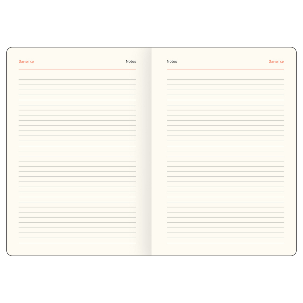 Ежедневник датированный 2026г., А5, 176л., твердый переплет, кожзам, BG "Horse. Shade", цветной срез, с резинкой, карман DdА5_09397