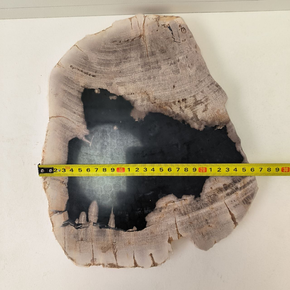 Набор из окаменелого дерева 4 предм Fossil Set NF-63299 поднос 149