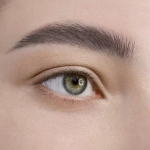 Гель-тинт для бровей LuxVisage Brow Tint 24h waterproof 5 гр