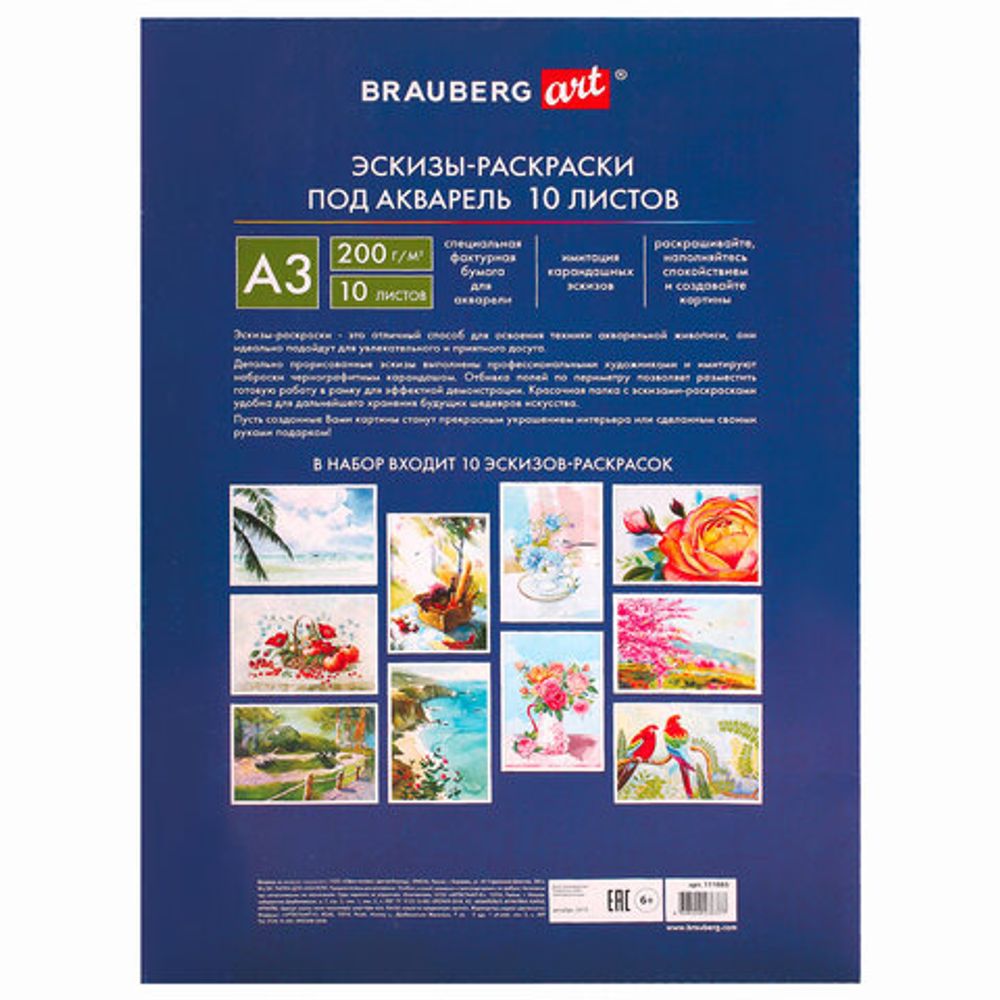 Папка для акварели С ЭСКИЗОМ, БОЛЬШАЯ А3, 10 л., 200 г/м2, BRAUBERG, 110065, 111065