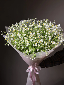 Букет ромашек