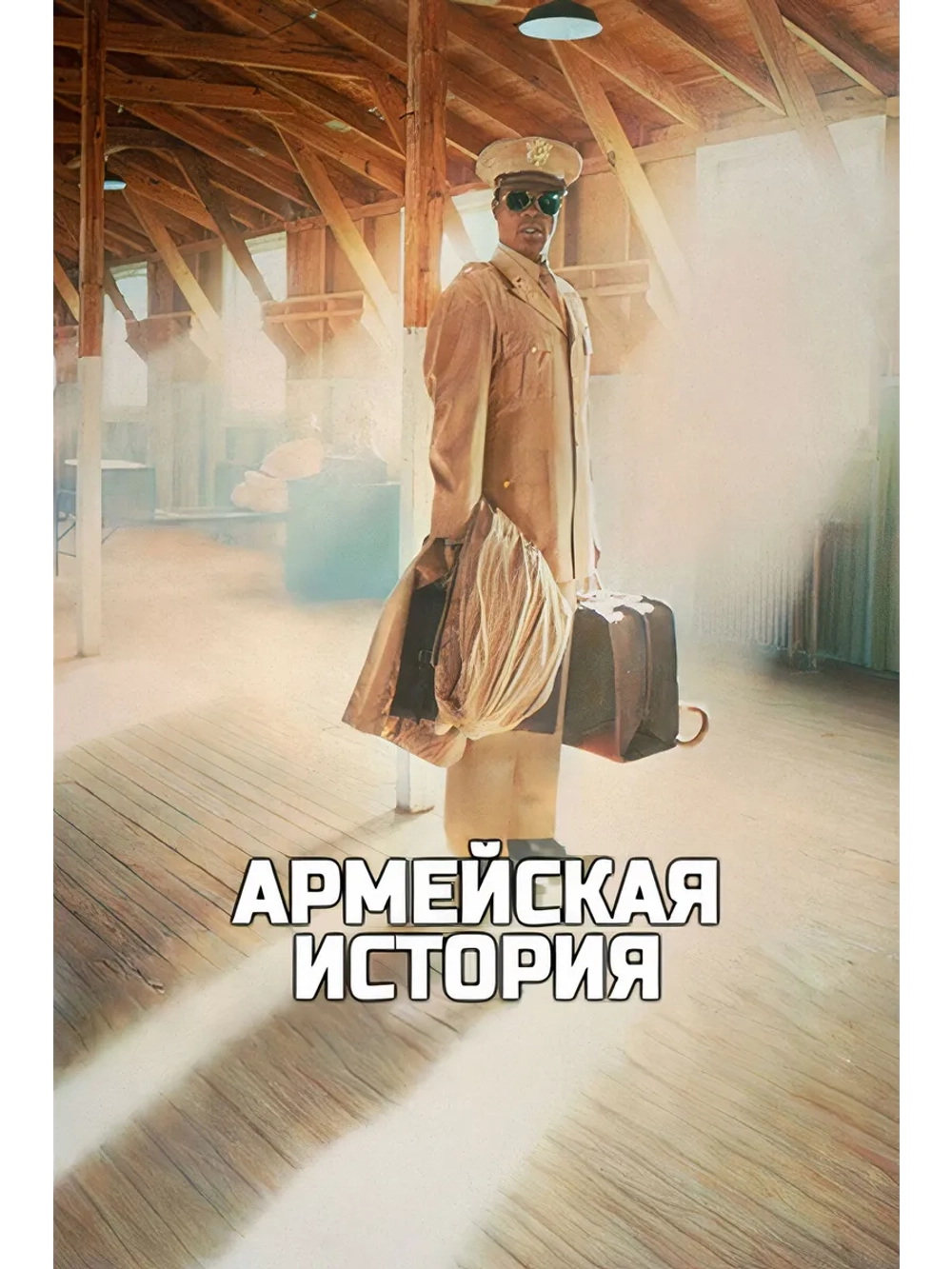 Армейская история (1984) (DVD-R)