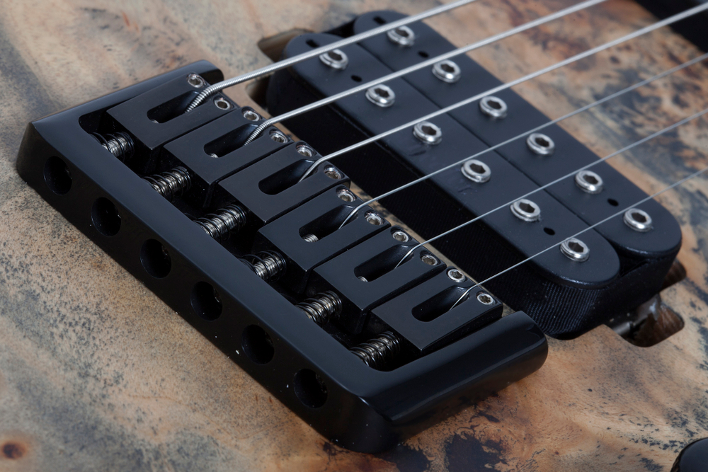 Schecter REAPER-6 CHARCOAL BURST