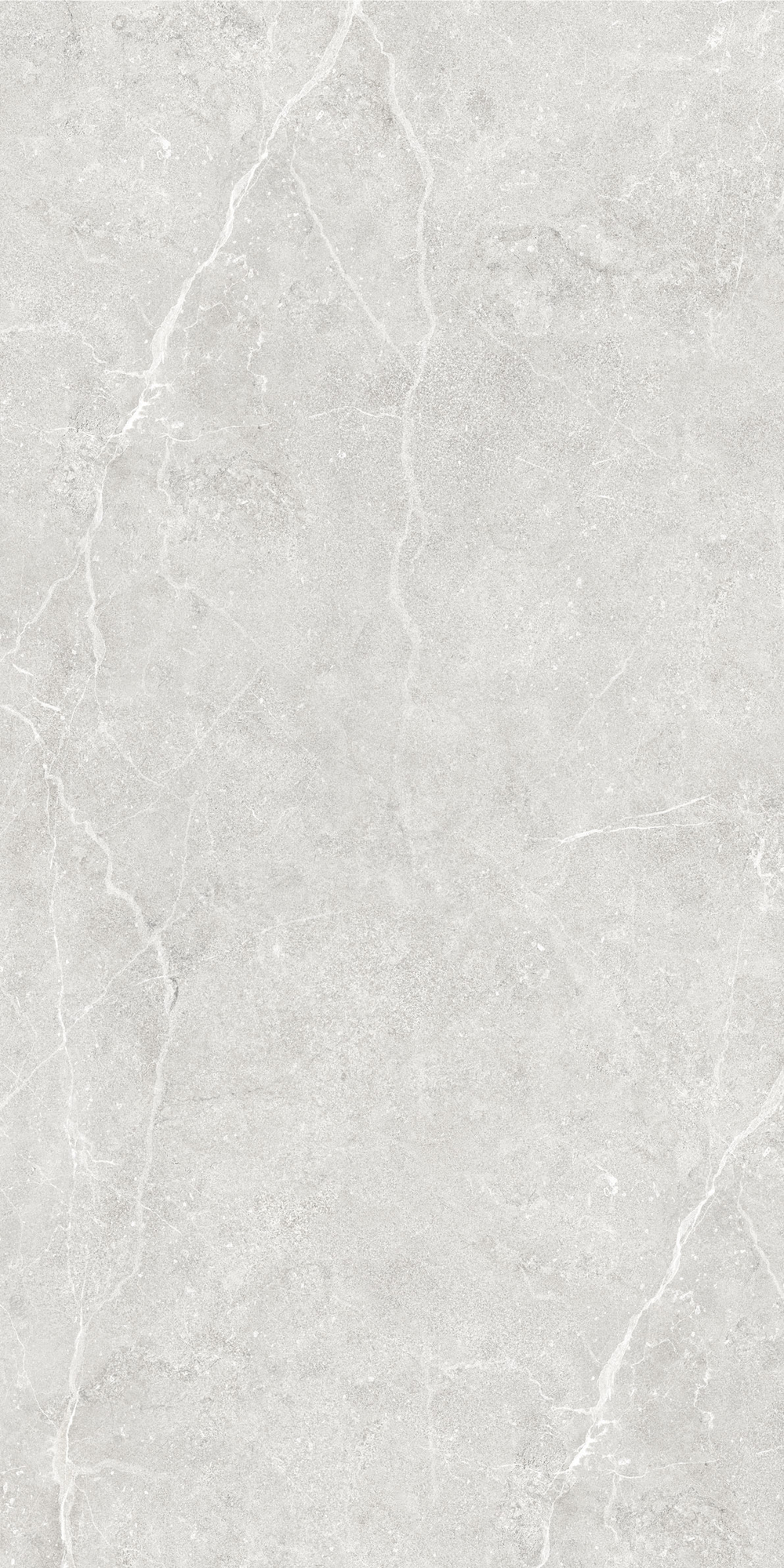 Керамогранит Ideal GT1206020506LGR светло-серый 60x120