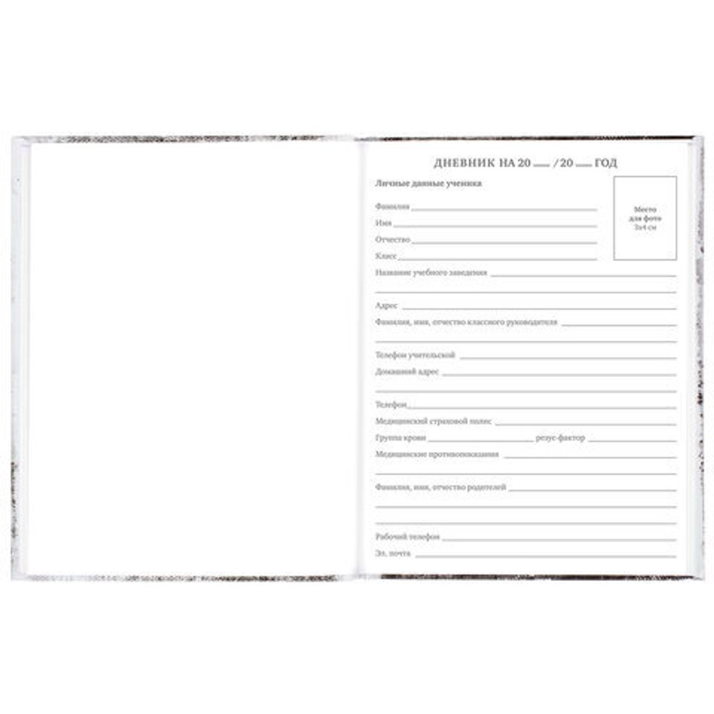 Дневник 5-11 класс 48 л., твердый, BRAUBERG, глянцевая ламинация, с подсказом, "Крутой Байк", 106391