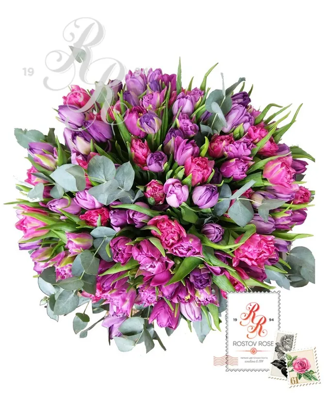 25 Пионовидных тюльпанов сиренево-фиолетовый микс