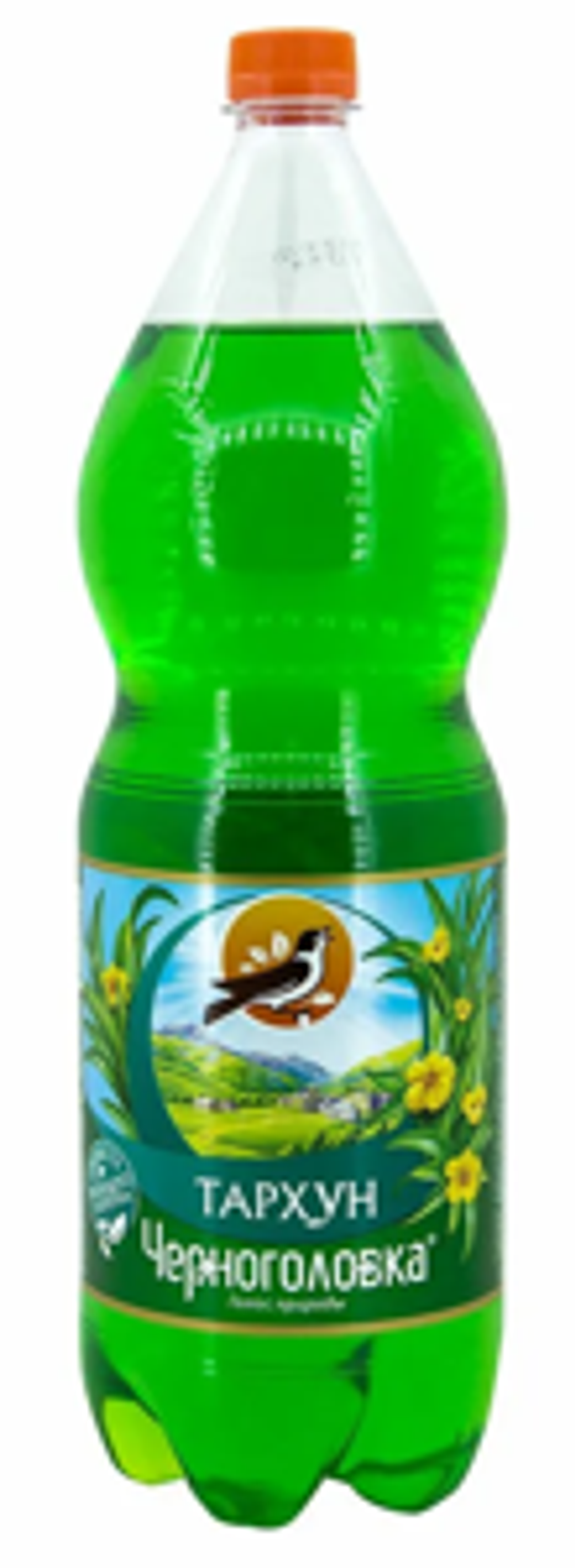 Черноголовка 2/6 ТАРХУН ПЭТ