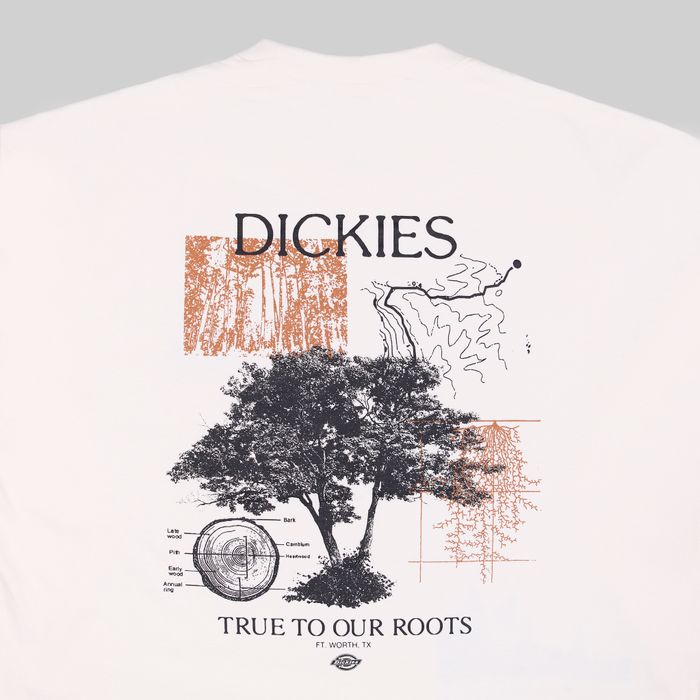 Лонгслив мужской Dickies Kenbridge Tee артикул:DK0A4YVRC581 - купить в магазине Дайс