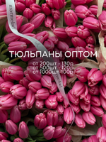 ОПТ тюльпан - классика ЯРКО РОЗОВЫЙ