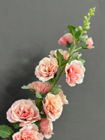 Мальва персиковая (h91 см)